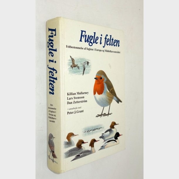 Fugle i felten: Killian Mullarney og Lars Svensson