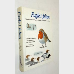 Fugle i felten: Killian Mullarney og Lars Svensson