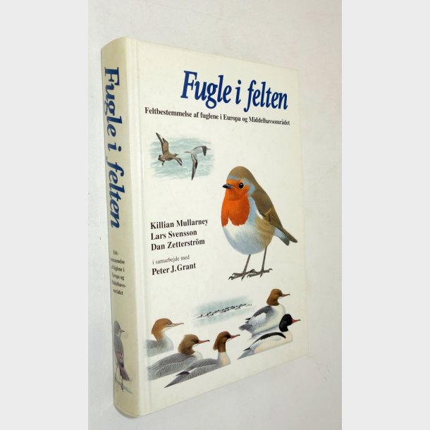 Fugle i felten: Killian Mullarney og Lars Svensson