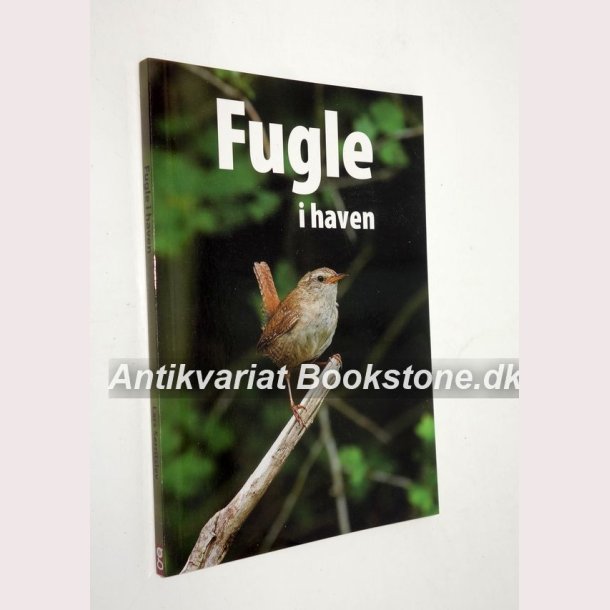 Fugle i haven 