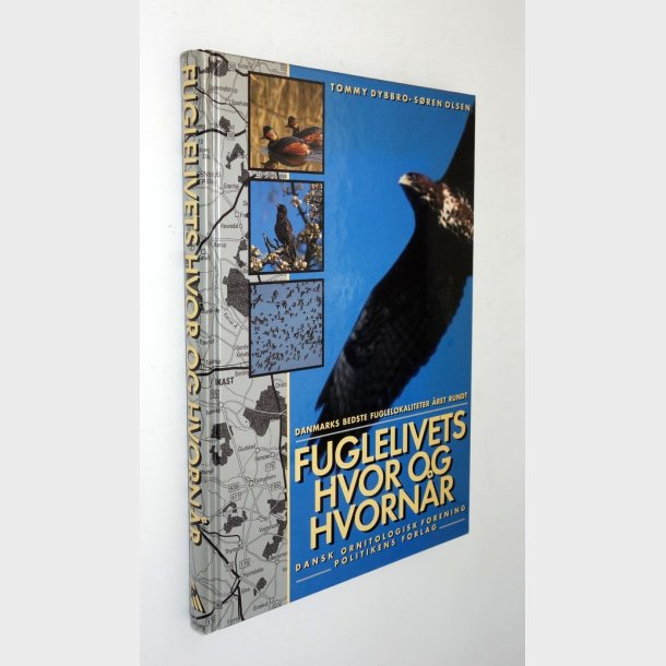 Fuglelivets hvor og hvornr: Tommy Dybbro og Sren Olsen