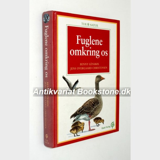 Fuglene omkring os: Benny Gnsbl 