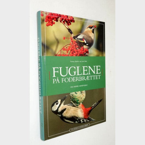 Fuglene p� foderbr�ttet: Tommy Dybbro og Lars Gejl