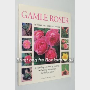 Gamle roser 