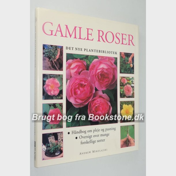 Gamle roser 