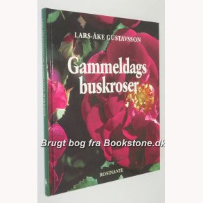 Gammeldags buskroser 
