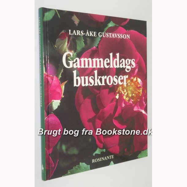 Gammeldags buskroser 
