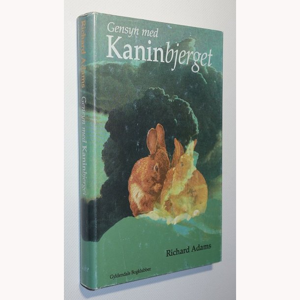 Gensyn med Kaninbjerget