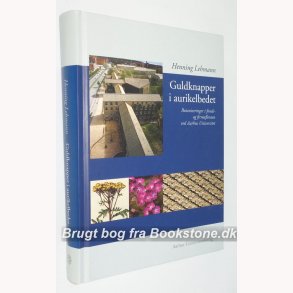 Guldknapper i aurikelbedet 