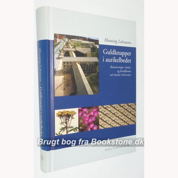 Guldknapper i aurikelbedet 