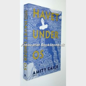 Havet under os: Amity Gaige