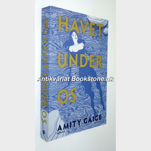 Havet under os: Amity Gaige