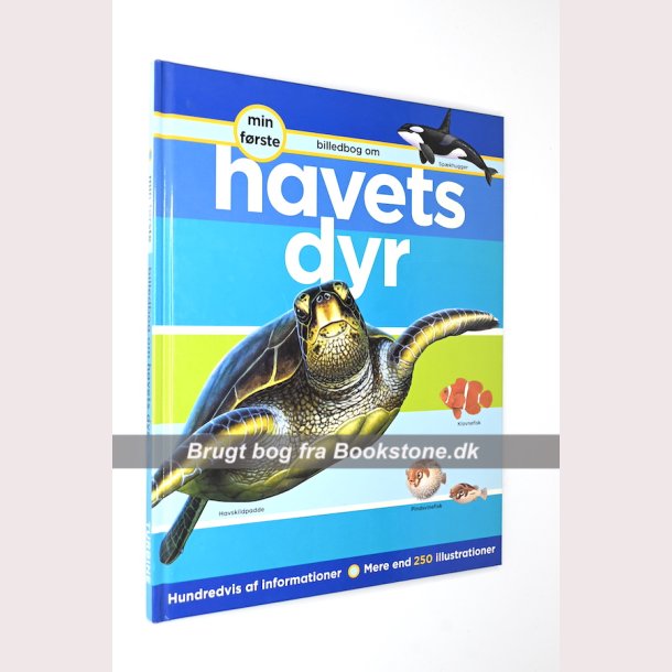 Havets dyr