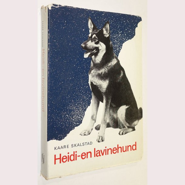 Heidi en lavinehund