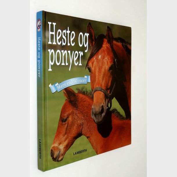 Heste og ponyer: Christian Lamberth