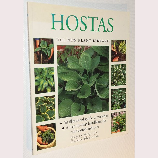 Hostas