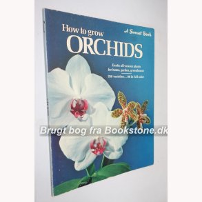 How to grow Orchids 