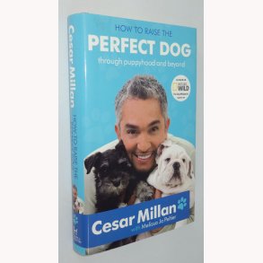 How to raise the Perfect Dog 