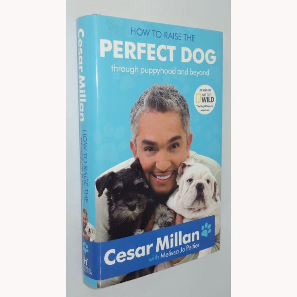 How to raise the Perfect Dog 