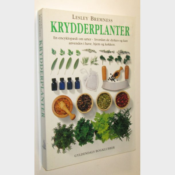 Krydderplanter