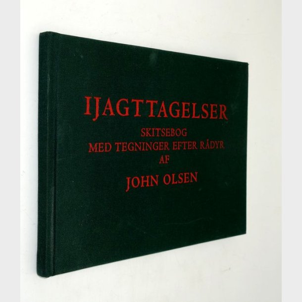 Ijagttagelser: John Olsen