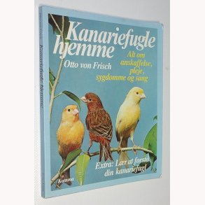 Kanariefugle hjemme