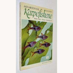 Akvariefisk Karpefiskene