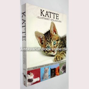 Katte - illustreret opslagsvrk