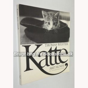 Katte ret rundt - en evighedskalender