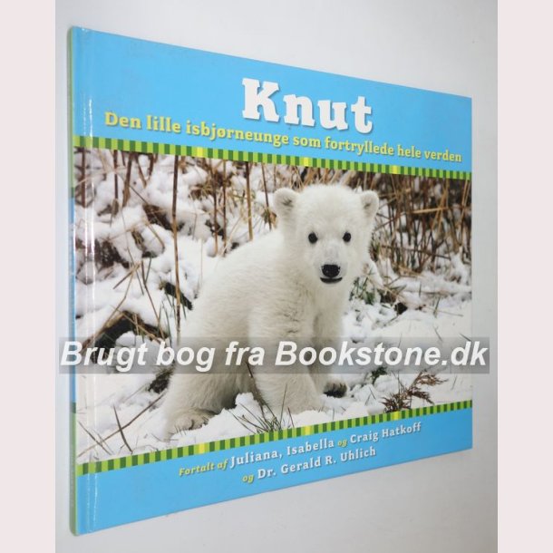 Knut