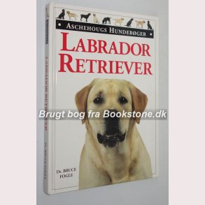 Labrador Retriever 