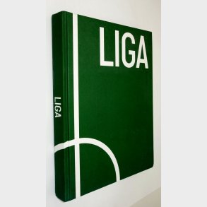 Liga: Lars R�nb�g og Mikkel Davidsen