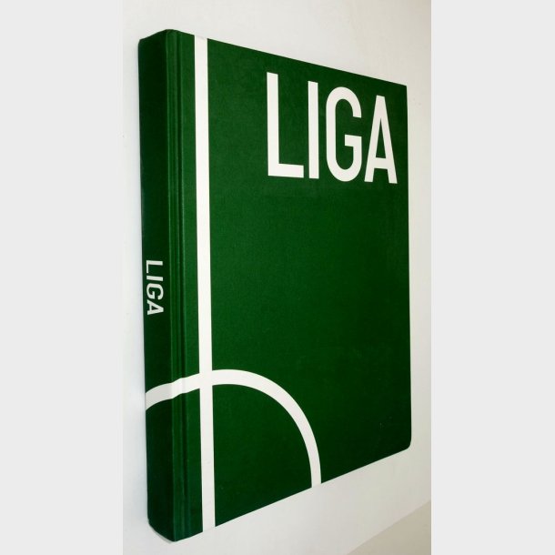 Liga: Lars R�nb�g og Mikkel Davidsen