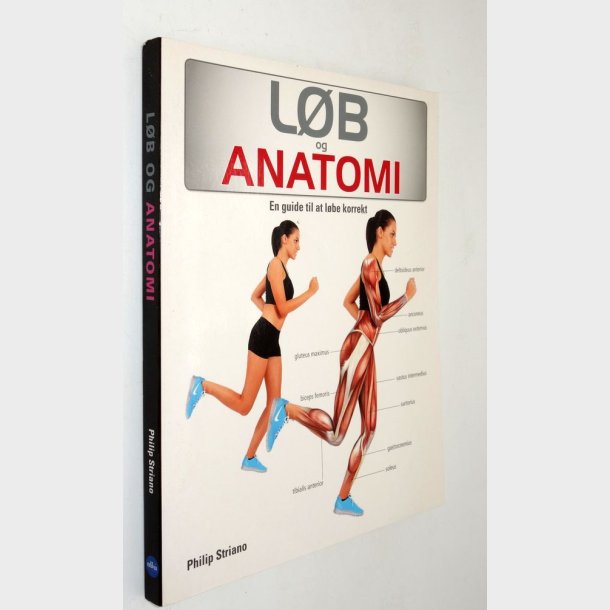 L�b &amp; anatomi: Philip Striano
