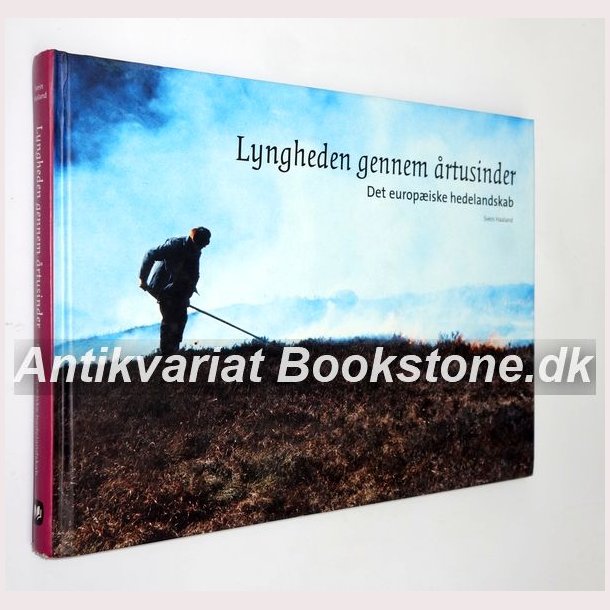 Lyngheden gennem rtusinder 