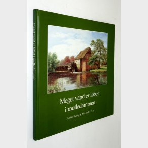 Meget vand er lbet i mlledammen