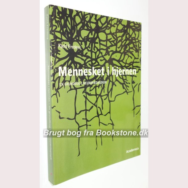 Mennesket i hjernen