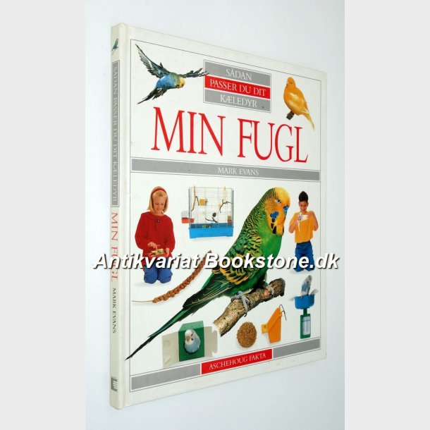 Min fugl - sdan passer du din fugl: Mark Evans