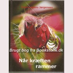 Nr krften rammer