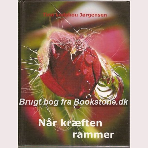 Nr krften rammer
