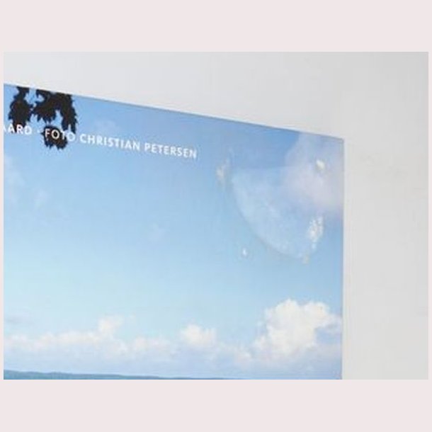 Oplevelser fra danske vingrde