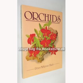 Orchids 