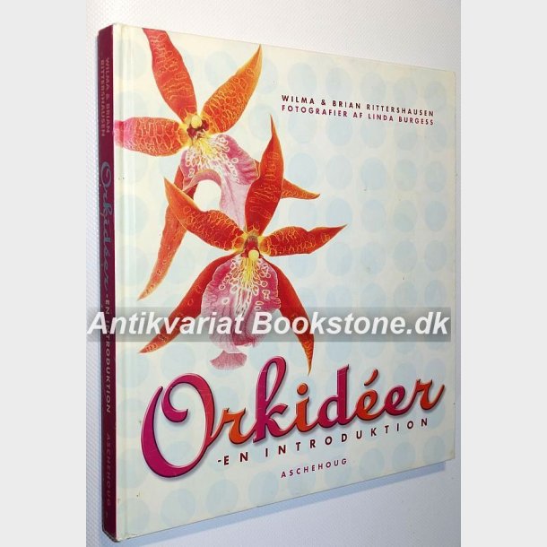 Orkideer - en introduktion