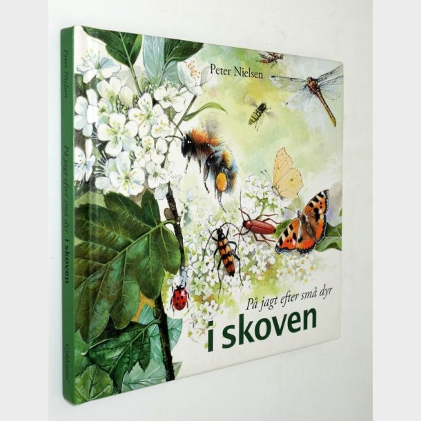 P jagt efter sm dyr i skoven: Peter Nielsen