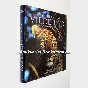 P sporet af de vilde dyr - oplevelser i det sydlige Afrika: Raphael Ben-Shahar