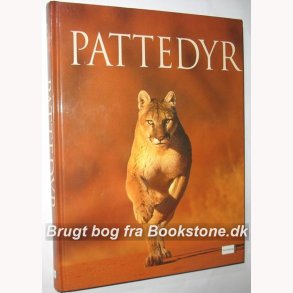 Pattedyr
