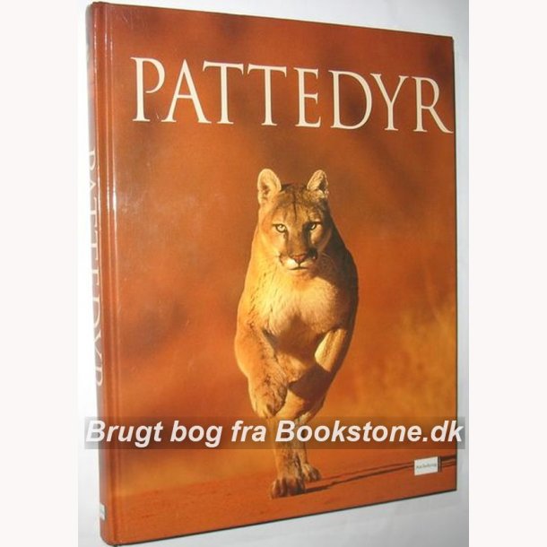 Pattedyr