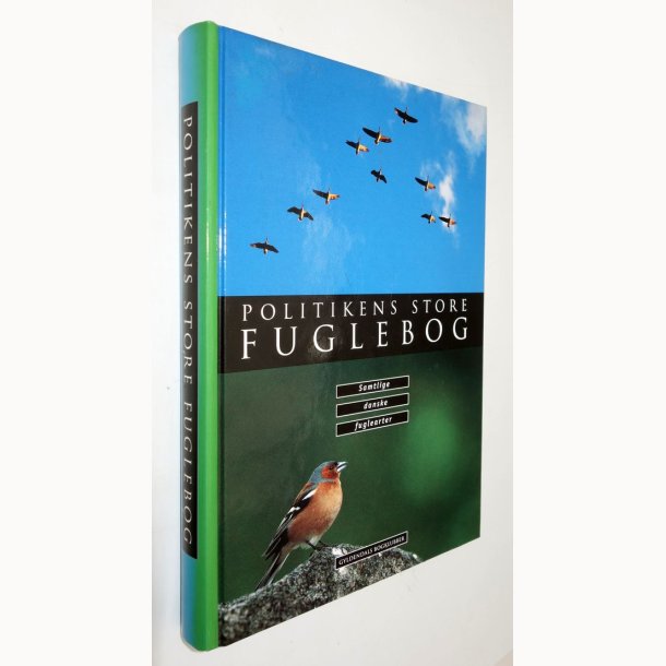 Politikens store fuglebog: Tommy Dybbro