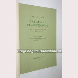 Primitive Plantenavne 
