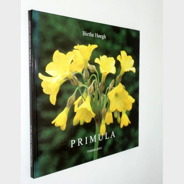Primula: Birthe Hegh